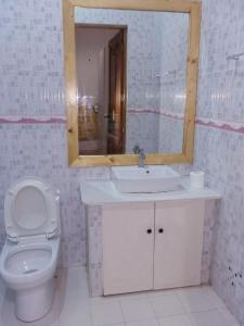 a bathroom with a toilet and a sink and a mirror at Fulidhoo La Perla Guest House in Fulidhoo