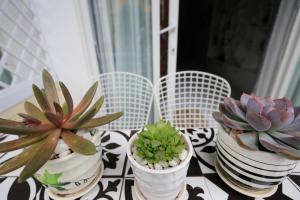 邦美蜀Zan HomeStay的相册照片