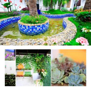 Zan HomeStay外面的花园