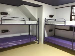 Двухъярусная кровать или двухъярусные кровати в номере Casa Arrieta Hostel