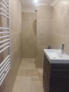 La salle de bains est pourvue d'un lavabo et d'une douche. dans l'établissement les oliviers, à Carpentras
