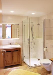 een badkamer met een douche, een toilet en een wastafel bij Ferienwohnungen Schallenberg - Gross-Umstadt in Groß-Umstadt