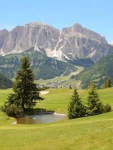 a golf course with trees and mountains in the background at Appartamento Sellaronda in Arabba