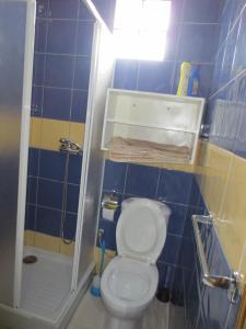 a blue tiled bathroom with a toilet and a shower at Palona´s House in Espargos
