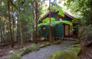 a small blue house in the middle of a forest at Springbrook Lyrebird Retreat in Springbrook