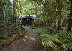 Vườn quanh Springbrook Lyrebird Retreat