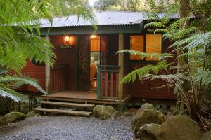 Vườn quanh Springbrook Lyrebird Retreat