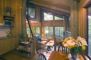 Ảnh trong thư viện ảnh của Springbrook Lyrebird Retreat ở Springbrook