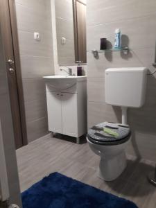 Ένα μπάνιο στο Apartman DIVA