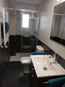 y baño con lavabo, aseo y ducha. en apartamento Miñes en Zaragoza