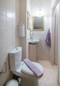 a bathroom with a toilet and a sink and a purple towel at RETRO 51 in Rethymno Town