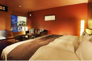 TV a/nebo společenská místnost v ubytování Karuizawa Hotel Longing House