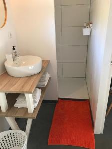 een badkamer met een wastafel en een rood tapijt bij Bij Zelle in Garderen