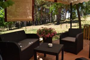 Zahrada ubytování Hospedium Hostal Almanzor