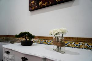 リスボンにあるAlmirante GuestHouseの花瓶2本の白いカウンター