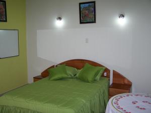 a bedroom with a green bed with two green pillows at Alojamiento "Selva Del Sol" in Rioja