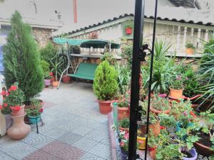 Gallery image of Hotel Asikot in Gevgelija