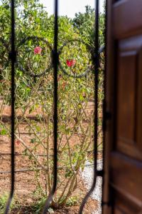 A garden outside Femina