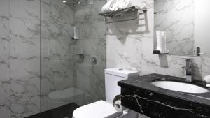 a bathroom with a toilet and a sink and a shower at Areca Launceston in Launceston