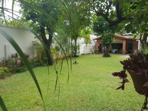 A garden outside Casa de Mia