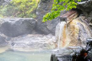 Paesaggio naturale nelle vicinanze del ryokan