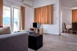 TV a/nebo společenská místnost v ubytování Apartments Marković