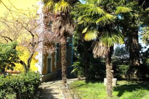 una casa con palmeras delante en apartman Cedra, en Izola