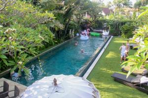 a group of people in a swimming pool at Chimera Villas in Seminyak