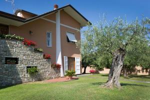 una casa con un árbol en el patio en Nel Giardino Degli Ulivi, en Castelnuovo Magra