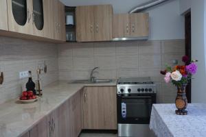 Køkken eller tekøkken på Casa Maramureșeană Larisa