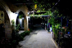 Perakhorio的住宿－George's Villa，一条种植了植物的小巷和一座夜间建筑