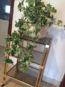 Fotografie z fotogalerie ubytování Apartment Meri v destinaci Bibinje