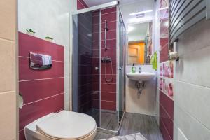 a bathroom with a toilet and a sink at Pokoje u Bobików in Ząb +82 photos