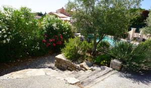 Der Swimmingpool an oder in der Nähe von Lone Star House