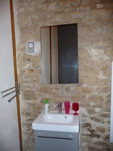 ein Bad mit einem Waschbecken und einem Spiegel in der Unterkunft Le Haut Fontaine : minis maisons de charme in Saint-Georges-lès-Baillargeaux