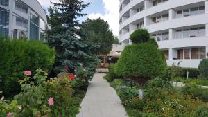 Zahrada ubytování Hotel Scoica