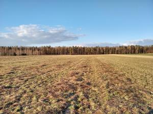 an empty field with trees in the background at Agroturystyka pod Czarną Sosną in Biały Ług