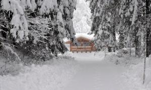 Ferienwohnung Steiner during the winter
