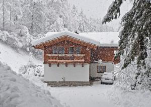 Ferienwohnung Steiner during the winter