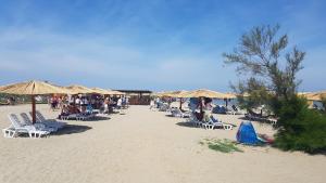 a group of chairs and umbrellas on a beach at Apartmani Popović Nin in Nin