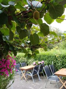 Κήπος έξω από το Hotel Garni "Adria" +30 φωτογραφίες