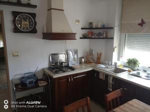 
O bucătărie sau chicinetă la Vila Atena
