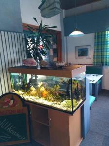 Hotel/Restaurant Adria في فيندهاغن: حوض سمك كبير في الغرفة