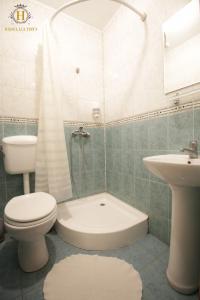 uma casa de banho com um WC, um lavatório e um chuveiro em Hanul lui Țintă em Buzău
