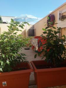 un patio con dos macetas y una sombrilla en Casa Delle Rose, en Porto Cesareo