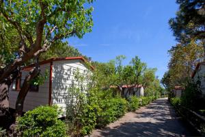 una strada sterrata accanto a una casa con alberi di Camping Capalbio a Capalbio