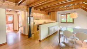 Kuchyň nebo kuchyňský kout v ubytování Saplan Real Estate TERMAS