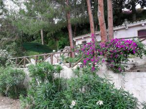 a garden with flowers and an umbrella in front of a fence at Appartamenti Salato in Tropea