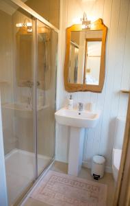 a bathroom with a sink and a shower and a mirror at GoldenValley Shepherd's Hut in Dorstone