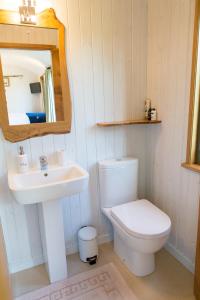 a bathroom with a toilet and a sink and a mirror at GoldenValley Shepherd's Hut in Dorstone